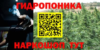 шишки Старая Купавна