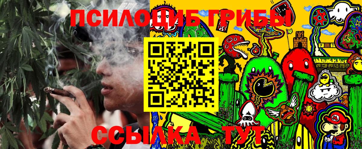 Псилоцибиновые грибы прущие грибы Нижневартовск