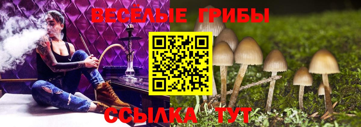 Нижневартовск  Галлюциногенные грибы Psilocybe  Вход с VPN 